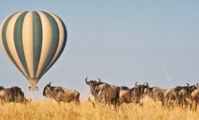 Masai-mara-balloon-experience