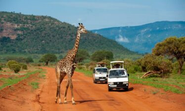 Tsavo Safari Package