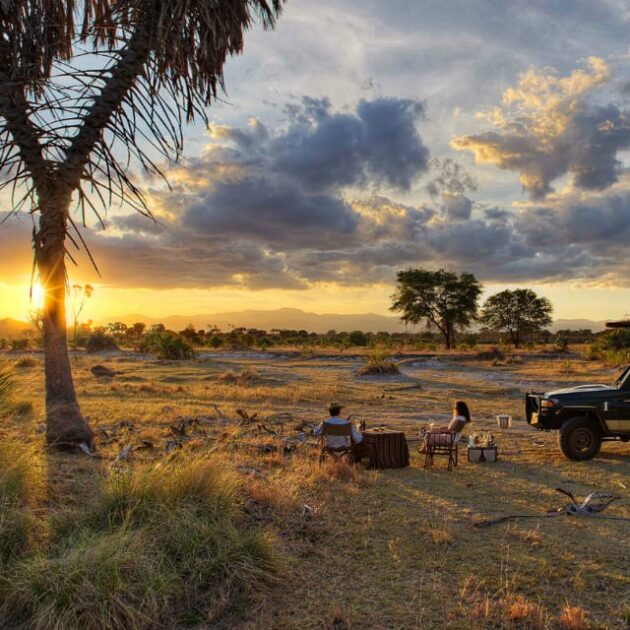 Meru National Park Safari