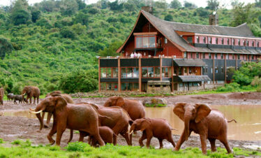 Northern Kenya Safari circuit