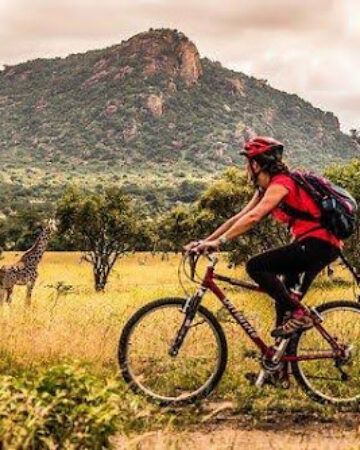 Cycling